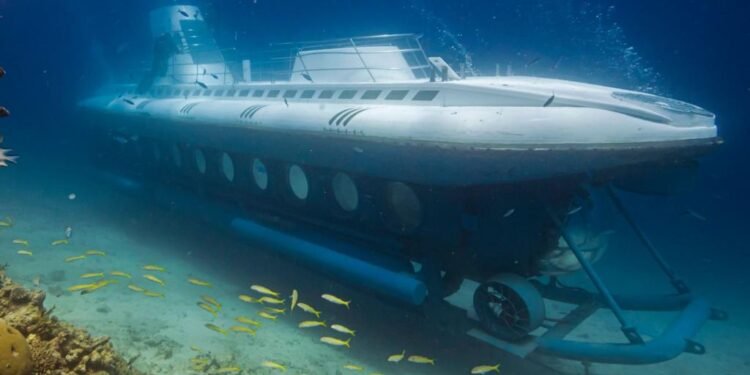 செங்கடலில் மூழ்கிய சுற்றுலாப் பயணிகளுக்கான நீர்மூழ்கிக் கப்பல் – அறுவர் உயிரிழந்திருக்கலாம் என அச்சம்!