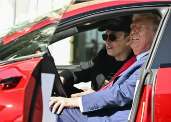 எலான் மஸ்க் மீது கை வைத்தால் 20 ஆண்டுகள் சிறை தண்டனை!