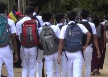 இலங்கையில் 29 வீத மாணவர்கள் கல்வியை நிறுத்தியுள்ளனர் – முன்னாள் ஐநா அதிகாரி அரசிடம் கோரிக்கை!