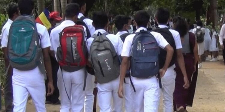 இலங்கையில் 29 வீத மாணவர்கள் கல்வியை நிறுத்தியுள்ளனர் – முன்னாள் ஐநா அதிகாரி அரசிடம் கோரிக்கை!