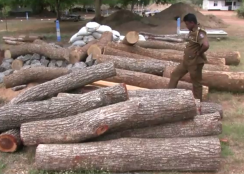 மரக்கடத்தல் லொறி மடக்கிப்பிடிப்பு!