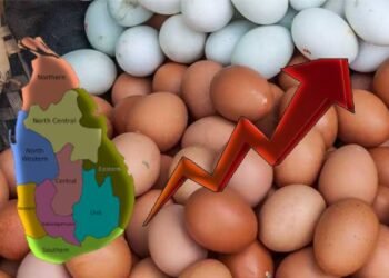 இன்று முதல் முட்டைகளுக்கு வற் வரி!