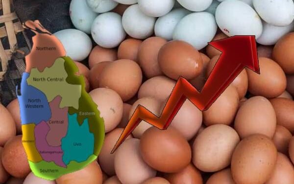 இன்று முதல் முட்டைகளுக்கு வற் வரி!