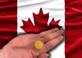 இளைஞர்களிடையே கஞ்சா பயன்பாடு அதிகரிப்பு