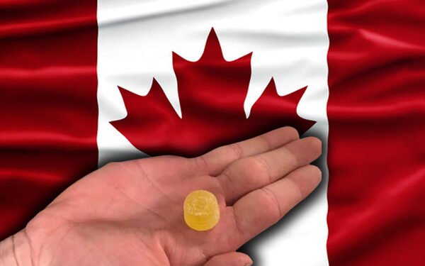 இளைஞர்களிடையே கஞ்சா பயன்பாடு அதிகரிப்பு