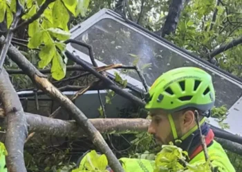 ஆரம்பித்து ஒரே வாரத்தில் அறுந்து விழுந்த கேபிள் கார் ; 4 பேர் பலி