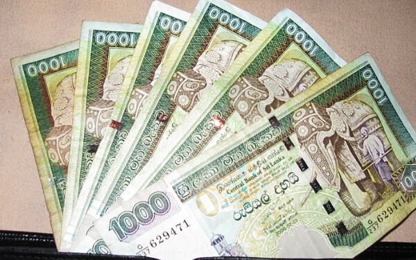 பாராட்டை பெறும் இளைஞனின் செயல்