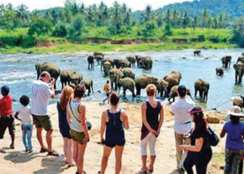 சுற்றுலாப் பயணிகள் வருகை அதிகரிப்பு