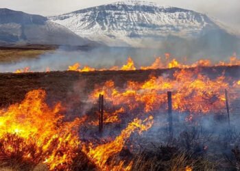 ஸ்காட்லாந்தின் வனப்பகுதியில் பெரும் காட்டுத்தீ !