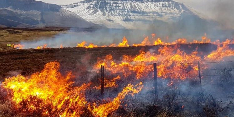 ஸ்காட்லாந்தின் வனப்பகுதியில் பெரும் காட்டுத்தீ !