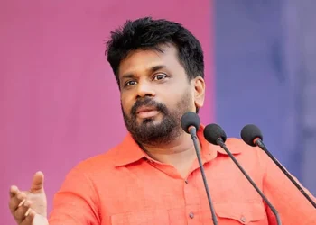 வயல்களில் பயிரிடப்படும் ஏனைய பயிர்களுக்கும் உர மானியம் வழங்க தீர்மானம் – ஜனாதிபதி