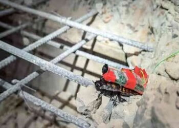 மியான்மர் நிலநடுக்க மீட்புப் பணி