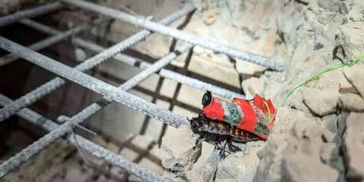 மியான்மர் நிலநடுக்க மீட்புப் பணி