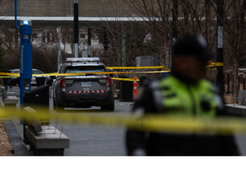 டொரண்டோவில் வாகன விபத்து!