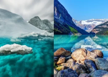 புதிய மைக்ரோ கண்டம் கண்டு பிடிக்கப்பட்டுள்ளது!