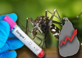 விசேட டெங்கு ஒழிப்பு வேலைத்திட்டம் இன்று முதல் முன்னெடுப்பு!