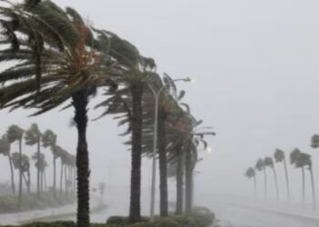 மட்டக்களப்பு மாவட்டத்தின் போரதீவுப்பற்று பிரதேச செயலாளர் பிரிவுக்குட்பட்ட பகுதியில் வீசிய மினி சூறாவளி!