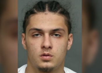 கனடாவில் தகாத செயலில் ஈடுபட்ட நபர் கைது