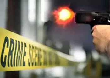 உக்ரைன் முன்னாள் அதிபரின் ஆலோசகர் ஸ்பெயினில் சுட்டுக்கொலை