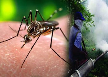 இந்த வருடத்தில் சுமார் 20,000 டெங்கு நோயாளர்கள் பதிவு