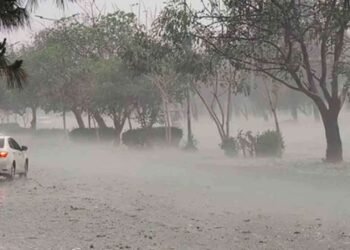 பாகிஸ்தானை புரட்டிப் போட்ட கனமழை : 20 பேர் பலி