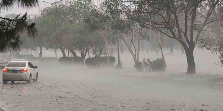 பாகிஸ்தானை புரட்டிப் போட்ட கனமழை : 20 பேர் பலி