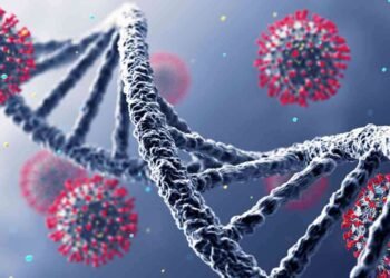 மீண்டும் பேரழிவை ஏற்படுத்துமா கொரோனா?