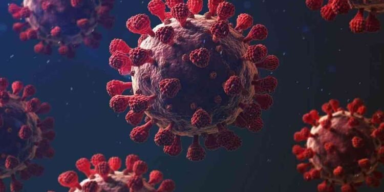 கொரோனா தொற்றால் பாதிக்கப்பட்டவர் உயிரிழப்பு