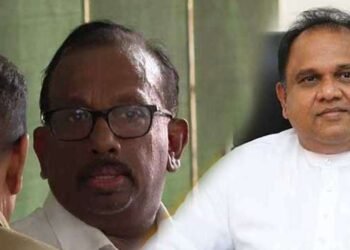 மஹிந்தானந்த மற்றும் நளின் பெர்னாண்டோவுக்கு கடூழிய சிறை