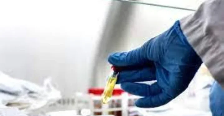 சிறுவர்களிடையே தற்போது மூன்று நோய்களின் பாதிப்பு அதிகரித்து வருவதாக சுகாதார அதிகாரிகளின் தெரிவிப்பு!