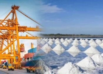 இறக்குமதி செய்யப்படவிருந்த உப்பு நாட்டிற்கு வருவதற்கு இன்னும் சில நாட்கள் தாமதமாகலாம்