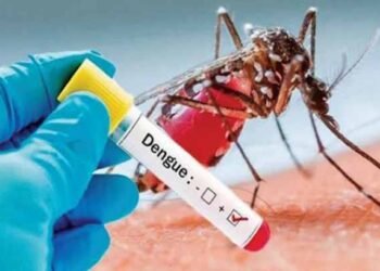 இவ்வருடத்தில் இதுவரை 20,942 டெங்கு நோயாளர்கள் பதிவு!