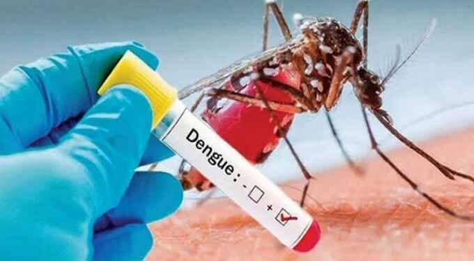 இவ்வருடத்தில் இதுவரை 20,942 டெங்கு நோயாளர்கள் பதிவு!