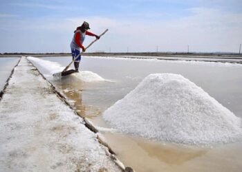 உப்பு இறக்குமதிக்கான அமைச்சரவையின் விசேட அனுமதி!