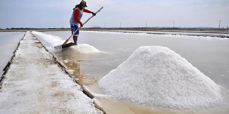 உப்பு இறக்குமதிக்கான அமைச்சரவையின் விசேட அனுமதி!