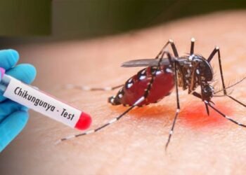 சிக்குன்குன்யாவால் அவதிப்படும் மேல் மாகாணம்!