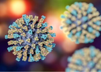 கனடாவில் தட்டம்மை காரணமாக சிசு மரணம்