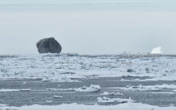 கனடாவில் வெளிவந்த பாரிய ‘கருப்பு நிற’ பனிப்பாறை ; அதிர்ச்சியில் விஞ்ஞானிகள்