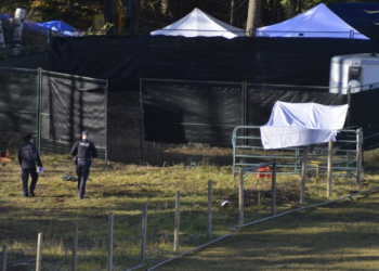 கனடாவில் 8 ஆண்டுகளுக்கு முன் காணாமல் போன பெண்ணின் உடல் பாகங்கள் மீட்பு