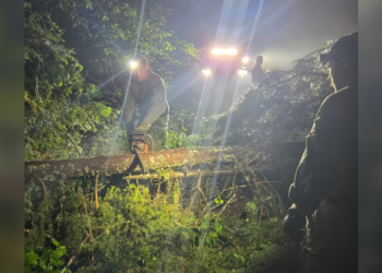 கனடாவின் ஆல்கொன்கின் தேசிய பூங்காவின் சிக்கியிருந்த தாய் மகன் மீட்பு