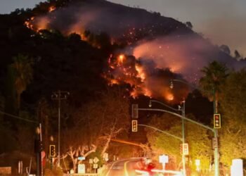 பற்றி எரியும் அமெரிக்காவின் லோஸ் ஏஞ்சல்ஸ் நகரம்!