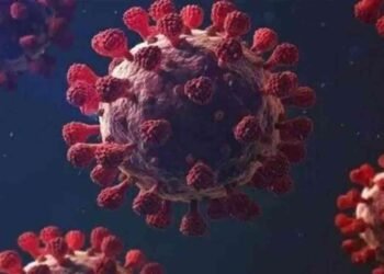 4 மாநிலங்களில் ஒரே நாளில் 7 பேர் பலி