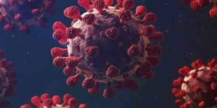 4 மாநிலங்களில் ஒரே நாளில் 7 பேர் பலி