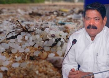 பெருமளவில் கரையொதுங்கும் Plastic Pellets!