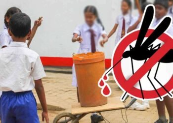 சிக்குன்குன்யா மற்றும் டெங்கு நோய் தொடர்பில் கல்வியமைச்சின் அறிவிப்பு