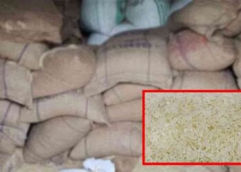 40,000 மெட்ரிக் தொன் அரிசியை இறக்குமதி செய்ய பரிந்துரை!