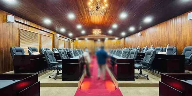 161 உள்ளூராட்சி நிறுவனங்களின் பணிகள் நாளை முதல் ஆரம்பம்