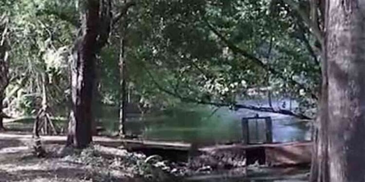 அநுராதபுரம் வைத்தியசாலையின் மலம் மற்றும் சிறுநீர் மல்வத்து ஓயாவில்