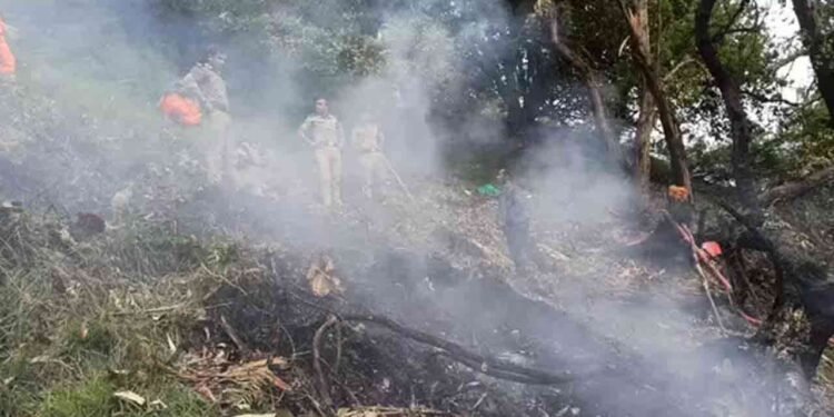 இந்தியாவில் ஹெலிகொப்டர் விபத்தில் 7 பேர்