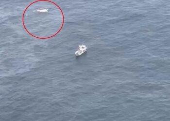 காணாமல் போன மீனவர்களில் இருவரின் சடலங்கள் மீட்பு